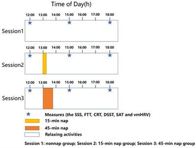 Night shifts in interns: Effects of daytime napping on autonomic activity and cognitive function